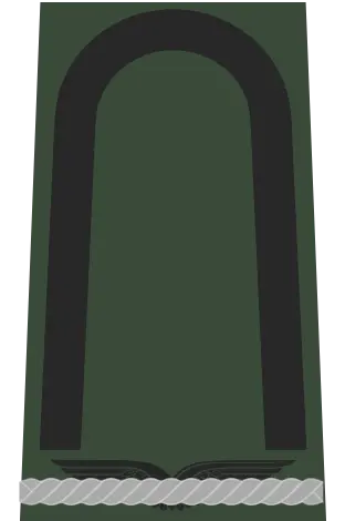 Abzeichen Fahnenjunker (Offizieranwärter)