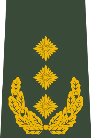 Abzeichen Generalleutnant