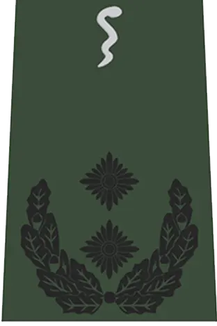 Abzeichen Oberfeldveterinär