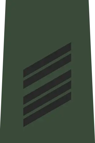 Abzeichen Oberstabsgefreiter