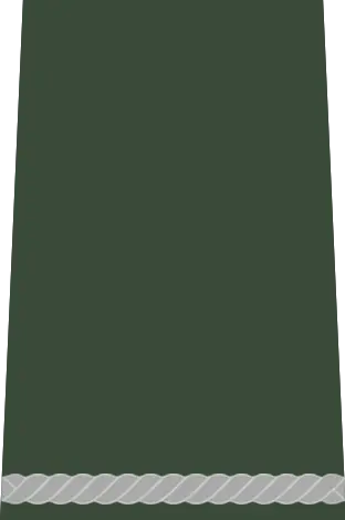 Abzeichen Schütze (Offizieranwärter)