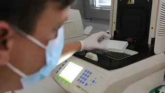 Ein Laborassistenz mit Maske sitzt vor einem Auswertegerät für Proben