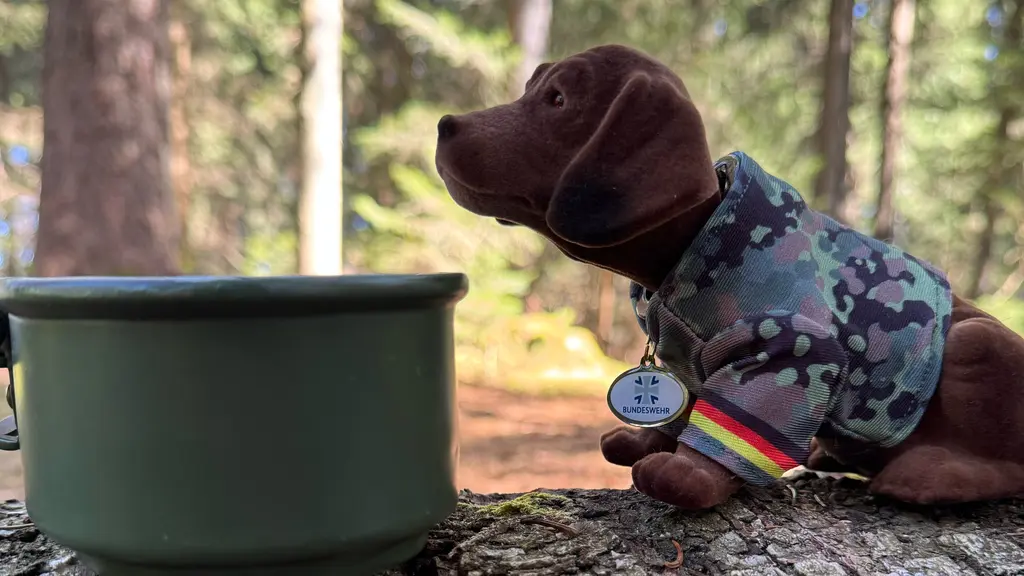 Wackeldackel am Feldessgeschirr