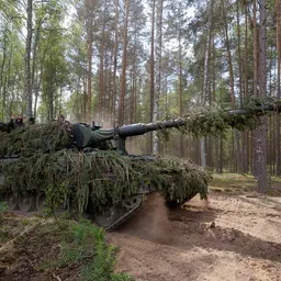 Panzerhaubitze mit Ästen getarnt in einer Waldstellung