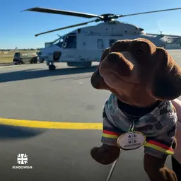 Wackeldackel vor Marineflieger