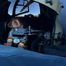 Wackeldackel im Cockpit