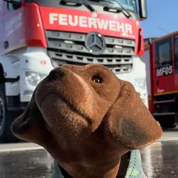 Wackeldackel bei Feuerwehr