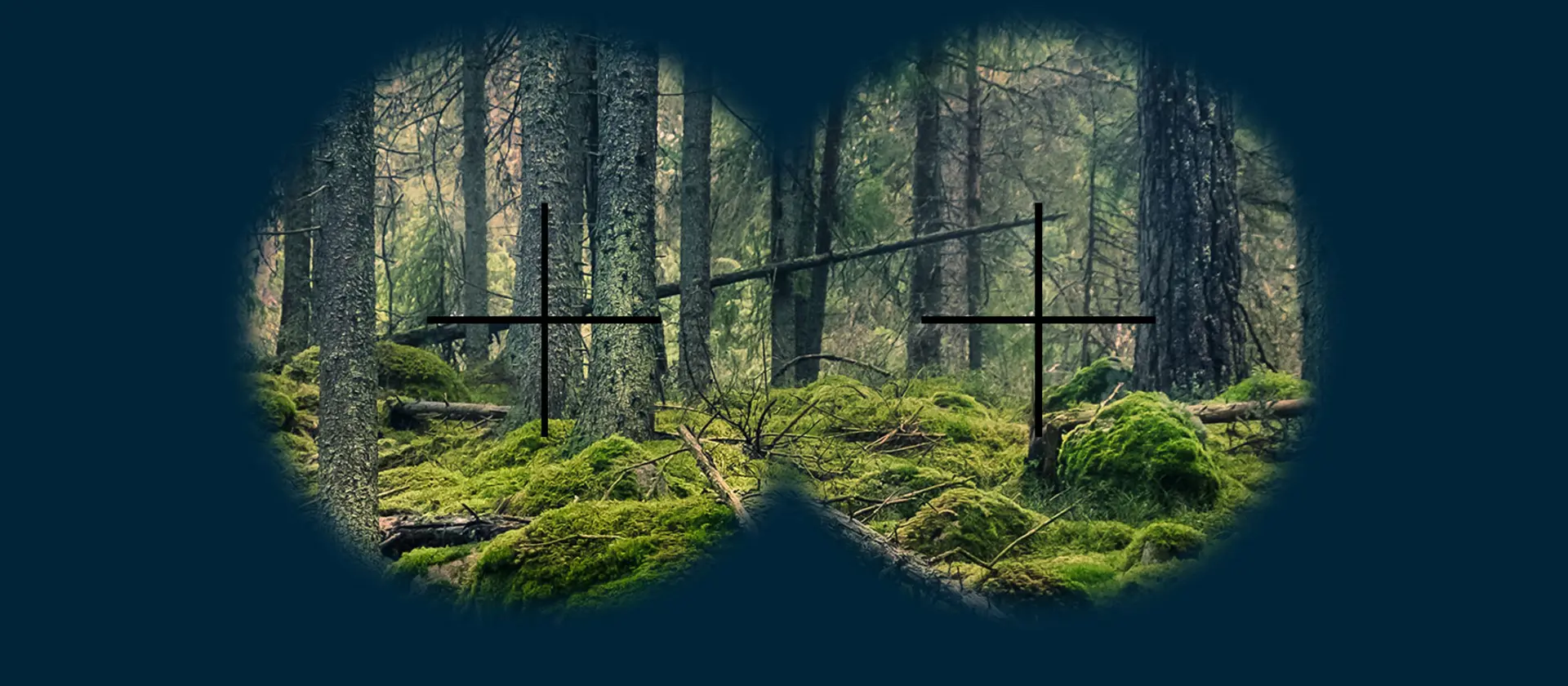 Blick durchs Fernglas